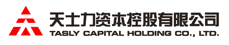鼎点资本控股有限公司